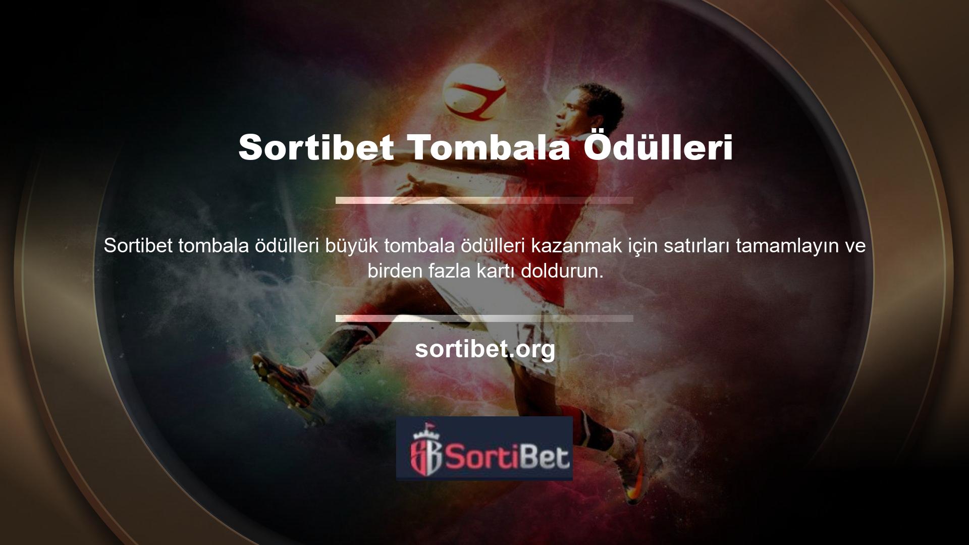 Bu nedenle bahisçi size iki harika seçenek sunuyor: canlı bingo ve otomatik bingo